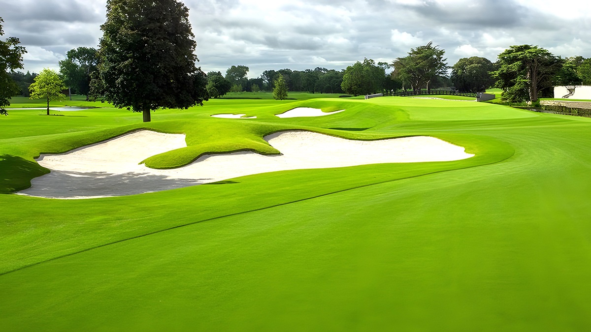 Sân tập Golf đẳng cấp quốc tế